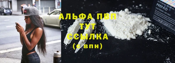 твердый Новозыбков