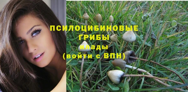 прущие грибы Няндома