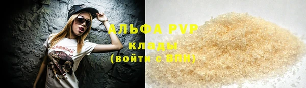 прущие грибы Няндома