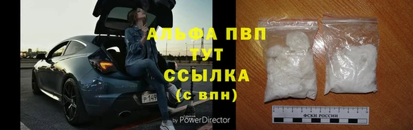 трава Новодвинск