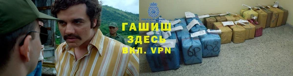 прущие грибы Няндома