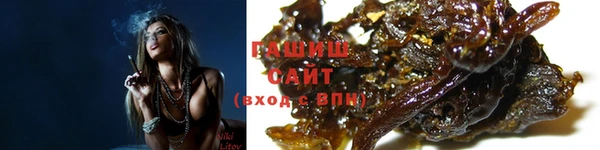 прущие грибы Няндома