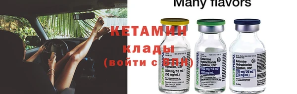 прущие грибы Няндома