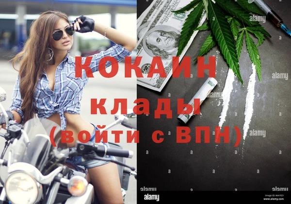 твердый Новозыбков