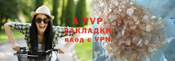 прущие грибы Няндома