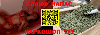 молекула духа Берёзовский