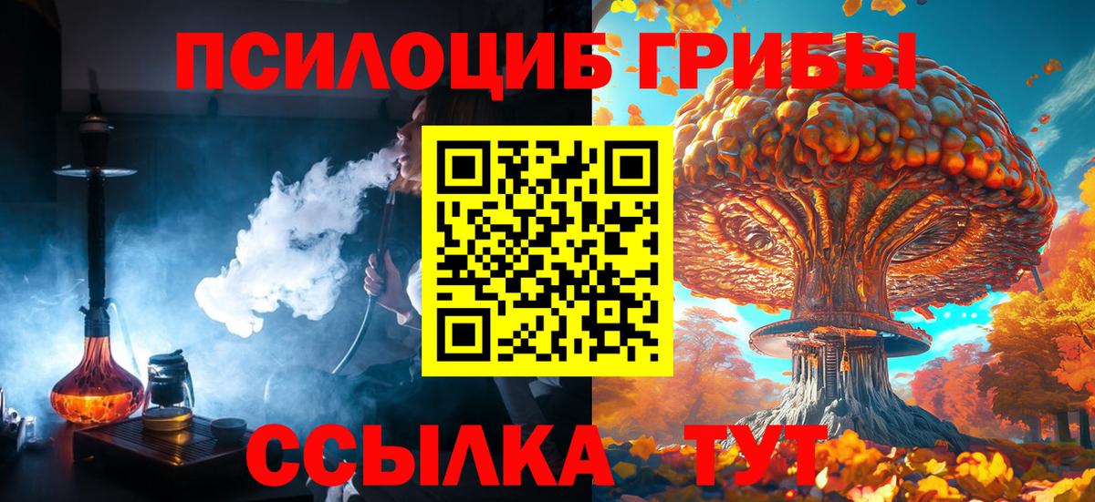Галлюциногенные грибы Ейск