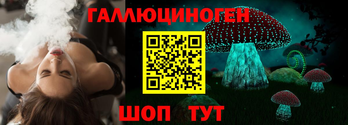 Галлюциногенные грибы Cubensis Ейск